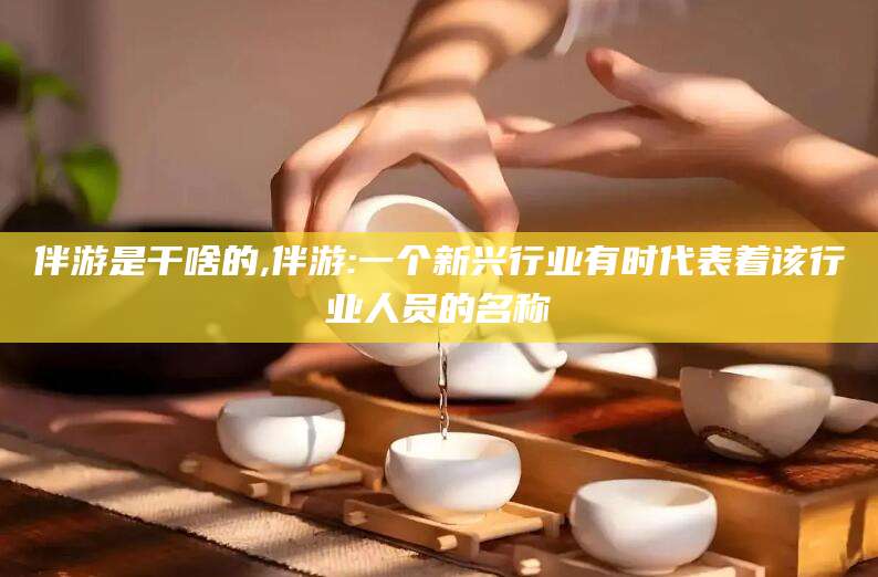 盘锦伴游是干啥的,伴游:一个新兴行业有时代表着该行业人员的名称