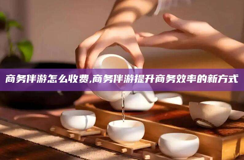 盘锦商务伴游怎么收费,商务伴游提升商务效率的新方式